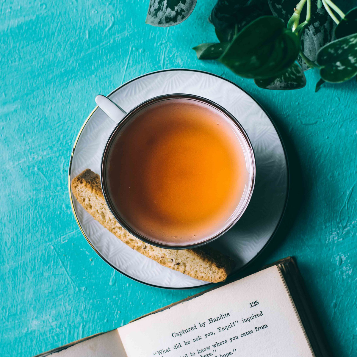 oolong tea in cup with biscotti, book on table with plant